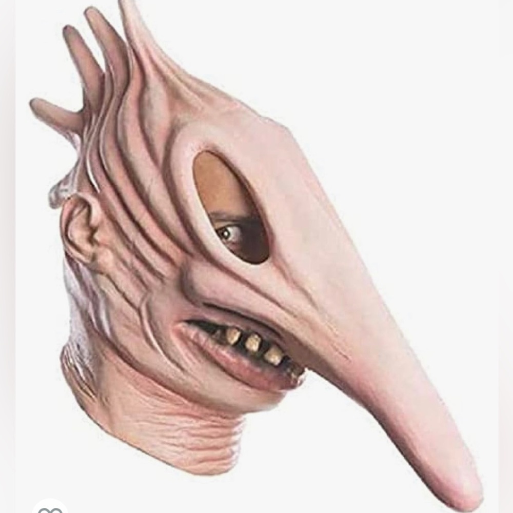 Beetlejuice Costume Adam mask